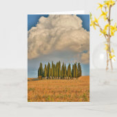 Carte Cyprès de Toscane (Fleur jaune)