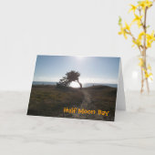 Carte Cypress Tree Card (Fleur jaune)