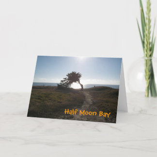Carte Cypress Tree Card