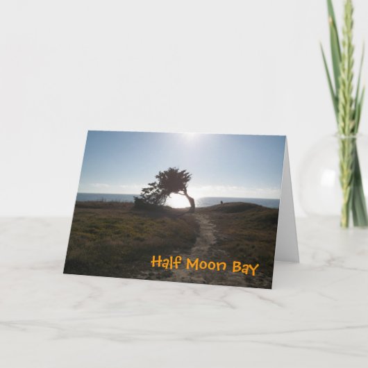 Carte Cypress Tree Card (Devant)