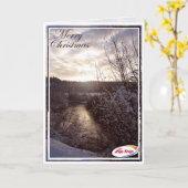 CARTE CZT 2013 (Fleur jaune)