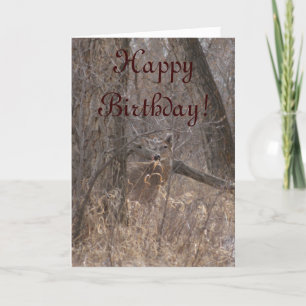Carte D2 White-tailed Deer in Cottonwood Trees