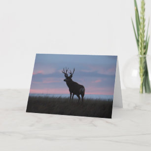 Carte D3 Mule Deer Buck