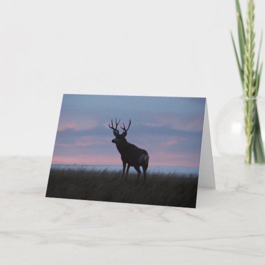 Carte D3 Mule Deer Buck (Devant)