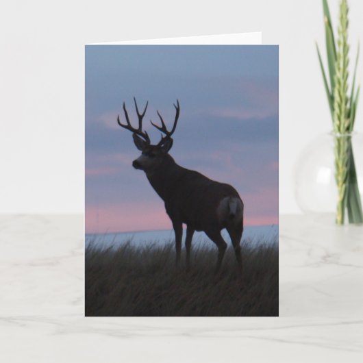Carte D3 Mule Deer Buck Sunrise Buck (Devant)