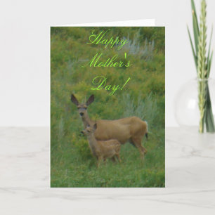 Carte D5 Mule Deer Doe et Fawn