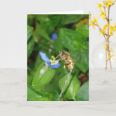 Carte d'abeille (Fleur jaune)