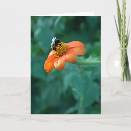 Carte d'abeille (Devant)