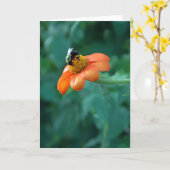 Carte d'abeille (Fleur jaune)