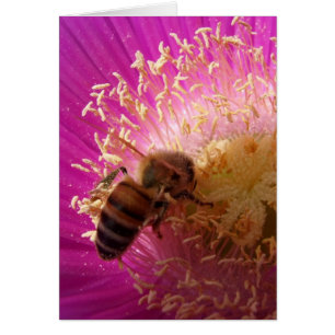 Carte d'abeille