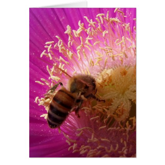 Carte d'abeille (Devant)