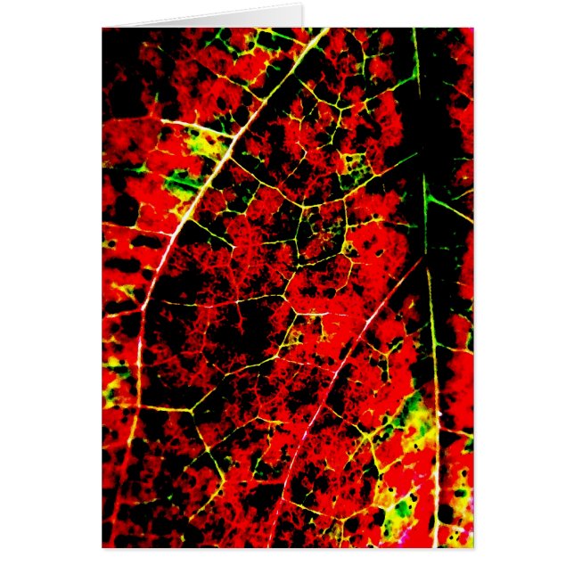 Carte d'abrégé sur feu rouge (Devant)