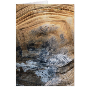 CARTE D'ABRI TORTOISE GÉANTE