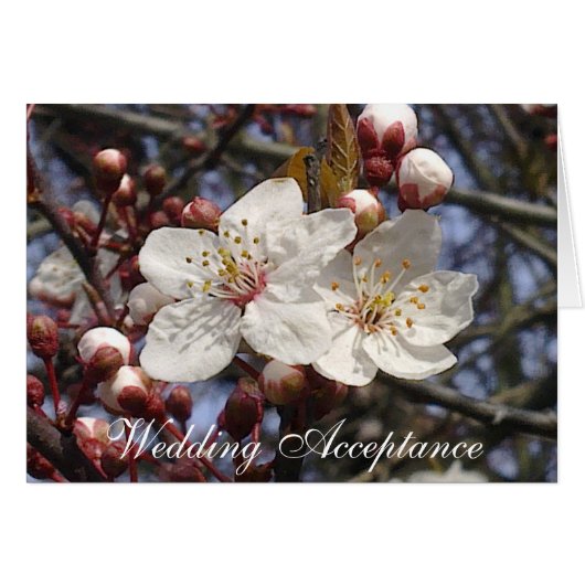 Carte d'acceptation Mariage Cherry Blossom (Devant horizontal)