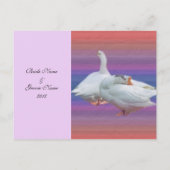 Carte d'acceptation mariage, deux oies blanches (Dos)