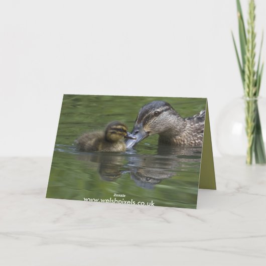 Carte d'accolade des canards (Dos)