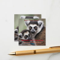 **"Amour de la mère : Mummy and Baby Lemur Cuddlin