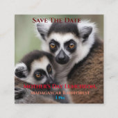 Carte D'accompagnement **"Amour de la mère : Mummy and Baby Lemur Cuddlin (Devant)