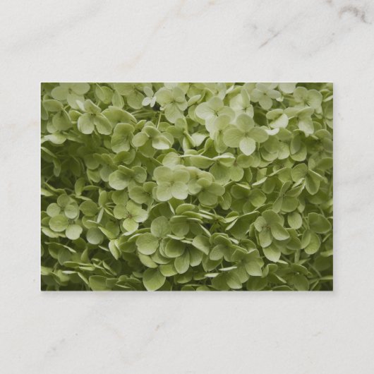 Carte D'accompagnement Annabelle Hydrangea Mariage Website Card (Dos)