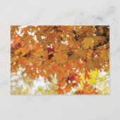 Carte D'accompagnement Automne Rustique Automne Lumières Mariage Directio (Dos)