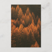 Carte D'accompagnement Autumn Woods Minimalist (Dos)