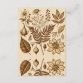 Carte D'accompagnement Bliss botaniques vintages (Dos)