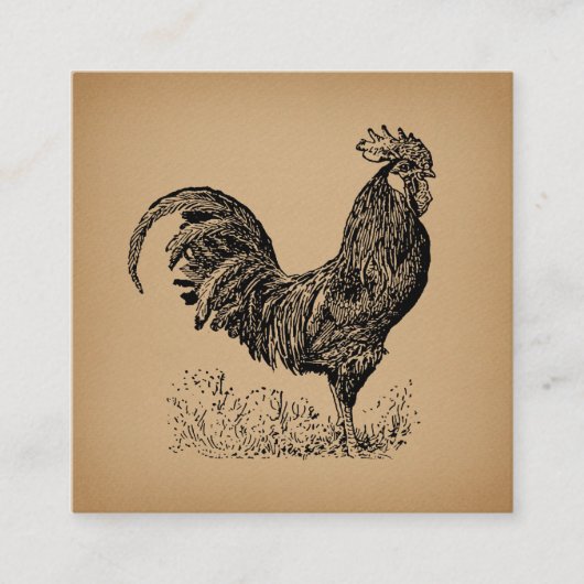 Carte D'accompagnement Brown Antique Rooster Illustration Chicken Art (Devant)
