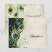 Carte D'accompagnement Carton d'invitation à la réception de plumes de pa (Devant / Derrière)