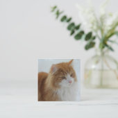 Carte D'accompagnement Chat_des_forêts_norvégiennes (Debout devant)