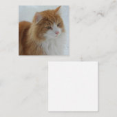 Carte D'accompagnement Chat_des_forêts_norvégiennes (Devant / Derrière)