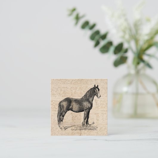 Carte D'accompagnement Cheval avec papier de script (Debout devant)