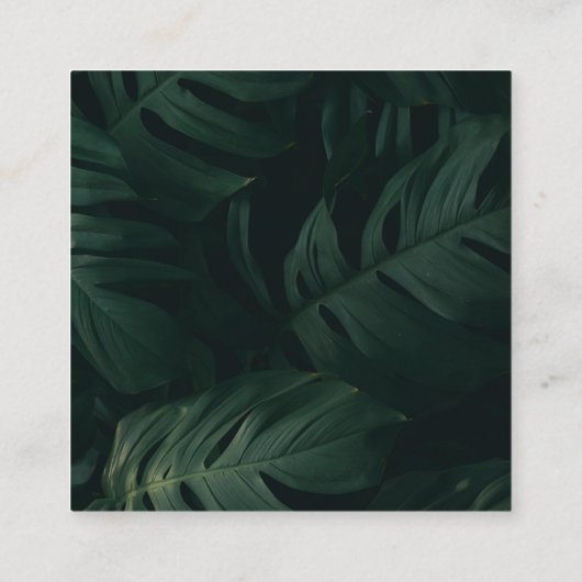 Carte D'accompagnement Code QR de balayage tropical RSVP Destination Wedd (Dos)