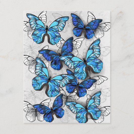 Carte D'accompagnement Composition des White and Blue Butterflies (Devant)