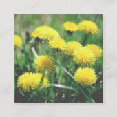 Carte D'accompagnement Dandelion Fleurs Dandelions Jaune Vert (Devant)