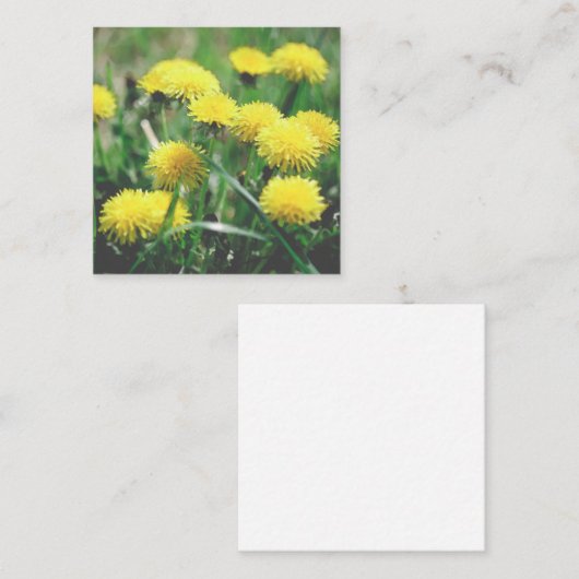 Carte D'accompagnement Dandelion Fleurs Dandelions Jaune Vert (Devant / Derrière)