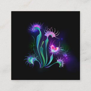 Carte D'accompagnement Dionaea attrape-mouche lumineuse