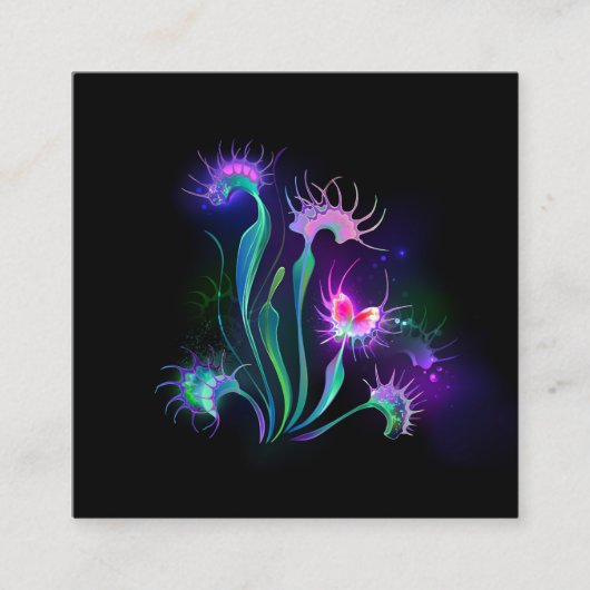 Carte D'accompagnement Dionaea attrape-mouche lumineuse (Devant)