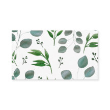 Feuilles de l'eucalyptus