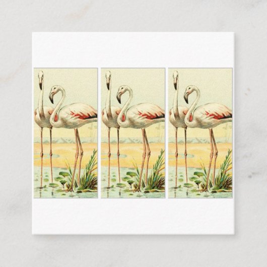 Carte D'accompagnement Flamant Rose Vintage (Devant)