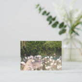 Carte D'accompagnement Flamants roses au repos (Debout devant)