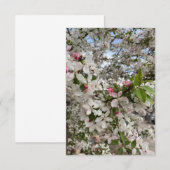Carte D'accompagnement Fleur de printemps (Devant / Derrière)