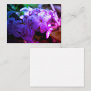 Carte D'accompagnement Fleur Pastel Pink Hyacinth (Hyacinthus)