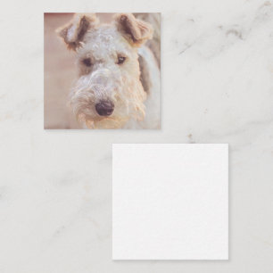 Carte D'accompagnement Fluffy Airedale Welsh Terrier Type Chien Chien Chi