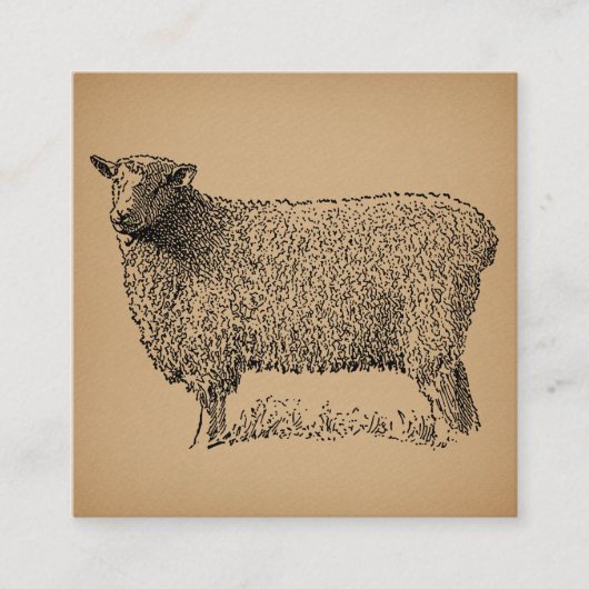 Carte D'accompagnement Illustration classique de l'art du mouton animal d (Devant)