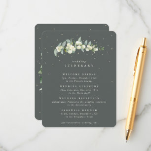 Carte D'accompagnement Itinéraire du Mariage de la tige de la baie de nei