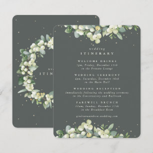 Carte D'accompagnement Itinéraire Mariage à bords verts Snowberry+Eucalyp