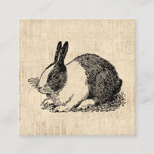 Carte D'accompagnement Jote Lapin Lapin Illustration de l'art animal Vint