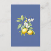 Carte D'accompagnement Lemon Enclosure Card Details (Dos)