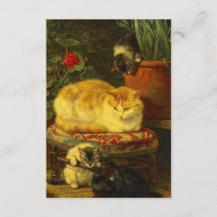 Carte D'accompagnement Les chatons en jeu