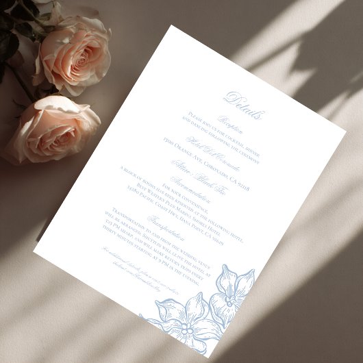 Carte D'accompagnement Light Blue Outline Floral Wedding Details Card